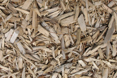 biomass boilers Cumledge